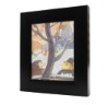 Colored illustration frame