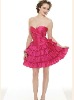 Hot-sell 2011 most popular and Shocking lowest price cocktail dress TY30089