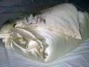 Chinese mulberry Silk Quilt