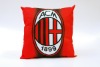 Wholesale promotion decorative cushion