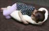 Wholesale maternity boby support pillow