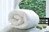 Wholesale Down Duvet
