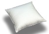 Wholesale polyester cushion