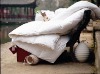Wholesale comforter duvet set