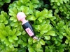 Wholesale Keychains electric body massager stick