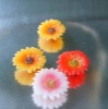 Wholesale floatting candle,sunflower candle