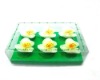 CADL119 Floating Art Candles