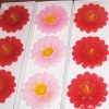 decorative water floating gifts candle