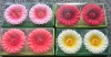 flower floating candle, flower candle, decorative candle, candle, spring candle, craft candle , new candle, decoration candle,