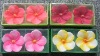 flower floating candle, flower candle, decorative candle, candle, spring candle, craft candle , new candle, decoration candle,