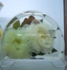 Wholesale suitable for home decoration and gifts glass vase home decor