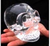 Skull head, crystal skull head, skull head decoration