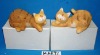 stock pottery set of 2 cat