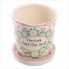 ceramic Planter
