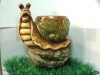 porcelain snail