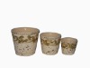 3 Set gray terracotta planters