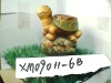 Wholesale porcelain turtle