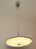 Modern pendant lighting/lamp/light fixture