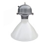 Wholesale ENLAM factory induction lamp