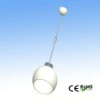 Wholesale 22w cool white led droplight