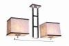 Modern pendant lamp for hotel PD-1337A