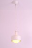 Wholesale modern single steel pendant lamp