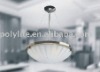 P5009 pendant light,pendant light,glass pendant lamp,glass pendant llighting,2011 New lamp