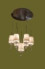 pendant lamp YP5006-6+1