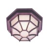 60w luminaria light
