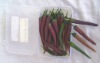 Wholesale CHILLI INCENSE STICK GIFT BOX