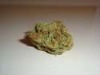 Wholesale big bud