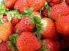 Wholesale Incense Stick Fragrance:Strawberry