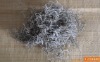spanish moss