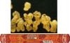 Wholesale FRANKINCENSE