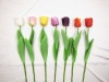 silk single tulip flower