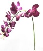 artificial flower phalaenopsis