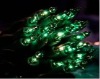 Green led net lights