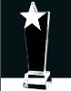 Crystal Trophy/Award
