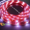 LED holiday lighting, led decorative light, holiday Christmas lighting