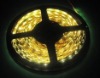 2011 magical LED christmas light