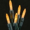 LED M5 Christmas lights / orange color