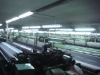Wholesale DPP54T-138 polyester screen printing mesh--monofilament plain weave