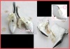 Wholesale fashion wedding shoes S013