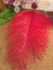 Wholesale New arrival-Best selling Magnetic pendant red feather necklace