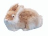 toy gift (rabbit)