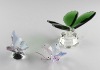 Unique Crystal Butterfly
