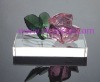 Wholesale crystal rose