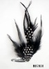 2011 fashion feathers hair hoop