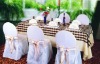 many color chair cover