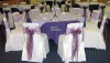 Elegance Wedding Chair Cover XY62